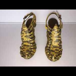 Bottega Veneta Crocodile